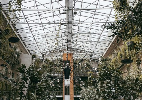 Il giardino del Twentysix con tutte le piante caratteristiche