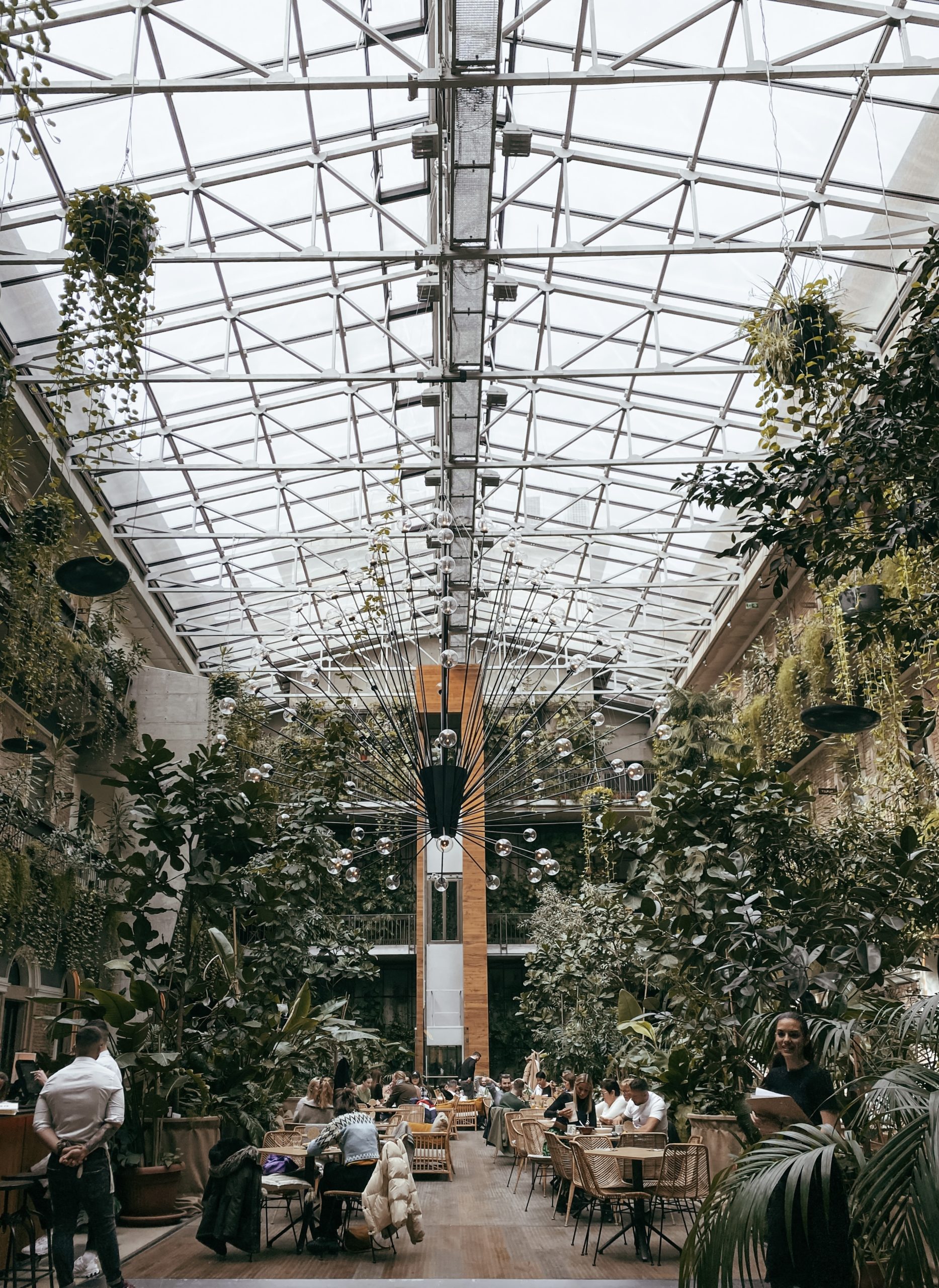 Il giardino del Twentysix con tutte le piante caratteristiche